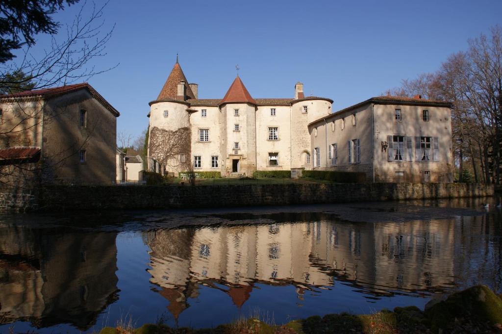 Chateau Des Martinanches Saint-Dier-dʼAuvergne Zewnętrze zdjęcie